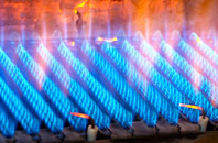 Polglass gas fired boilers